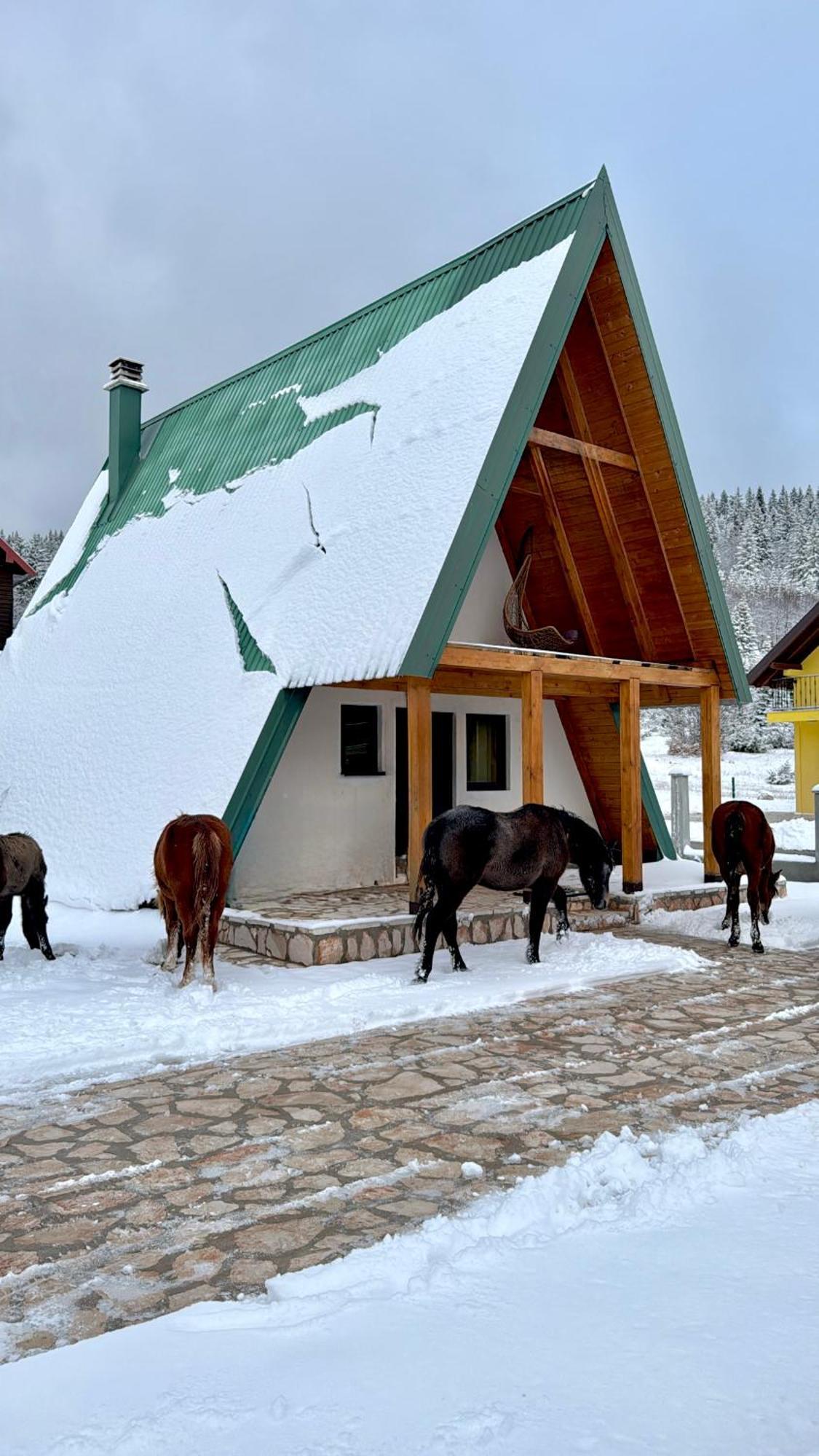 Woodside Zabljak Екстериор снимка